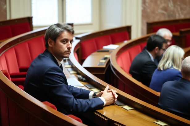 edited un candidat la alegerile prezidentiale din franta propune crearea statelor unite ale europei proiectul european si a atins limitele 6aac1f38b9bdc