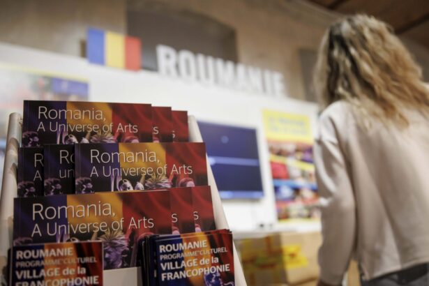 romania va participa la satul francofoniei 2026 din cambodgia guvernul a aprobat finantarea 6aa3dda0b1a41