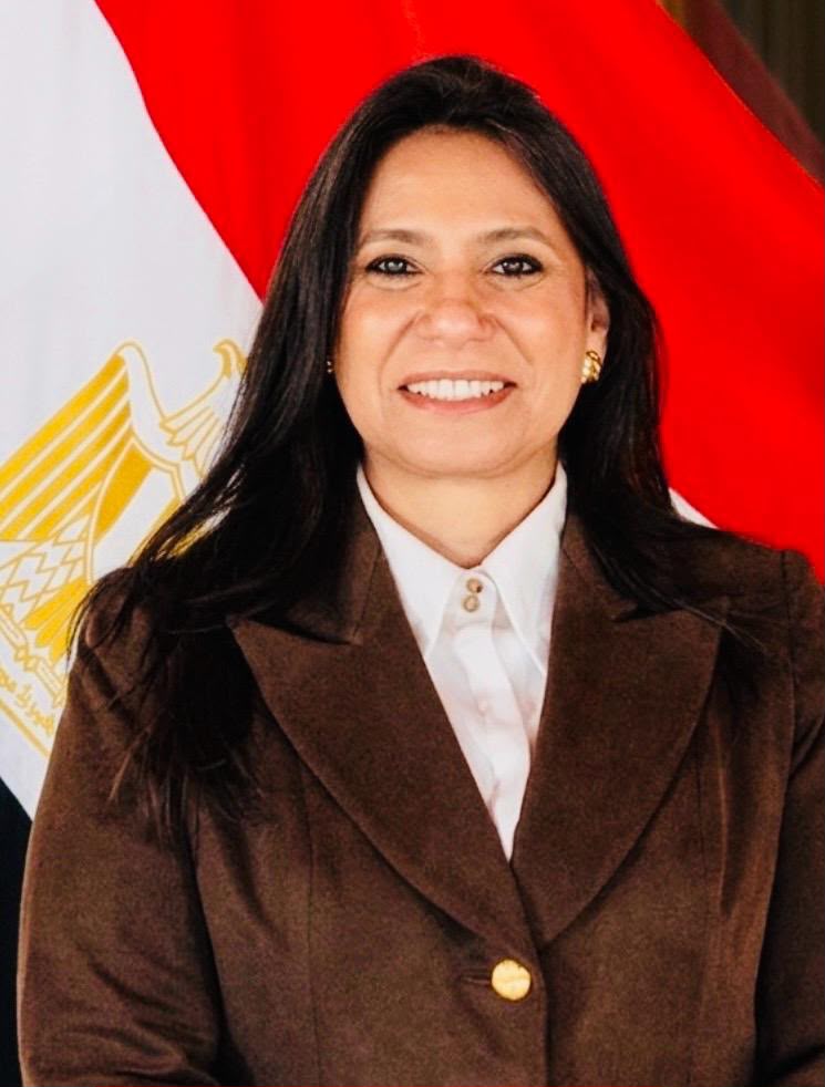 EgyptAir to Launch Direct Cairo-Stockholm Flights December 18, Egyptian Embassy in Stockholm Announces 3 Ambassador Naglaa Naguib
