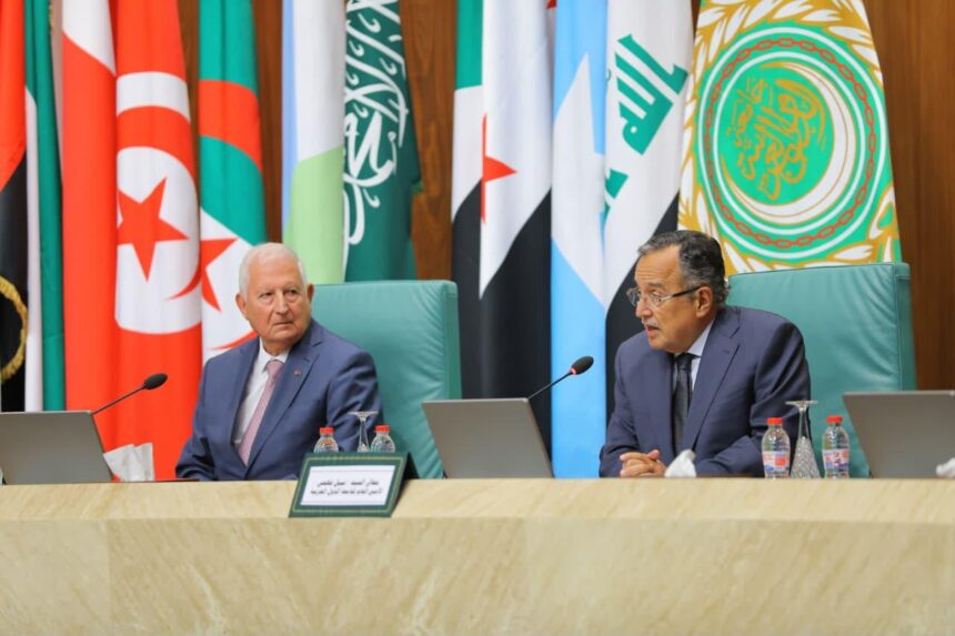 Arab League Secretary-General Nabil Fahmy addresses water and food security at the launch of the 14th Arab Report on Cultural Development in Cairo.