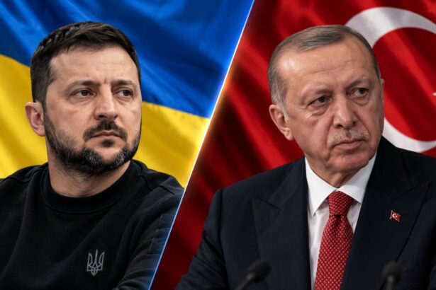 Zelenskyy and Erdogan Divided Diplomacy